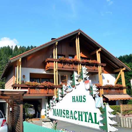 Pension Mausbachtal فأرمينشتآينآخ المظهر الخارجي الصورة